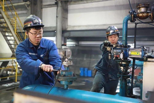 郭屯煤礦多措并舉提升煤質(zhì)含金量，選煤設(shè)備助力增效